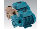 Pumps with peripheral impeller T.TP
