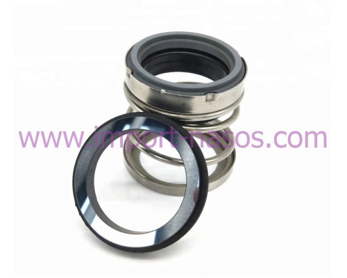 Mechanical seal IN0650.560A.BVPGG