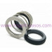 Mechanical seal IN0160.560A.BVPGG