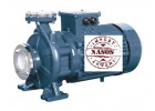 Cantilever monobloc pump ISW made of cast iron
