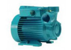 Pumps with peripheral impeller CT60. CT61