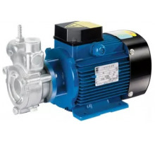 pump 25QY-2 SS self-priming stainless steel peripheral pump