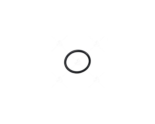 Кільце круглого перерізу 024-028-25-2-2