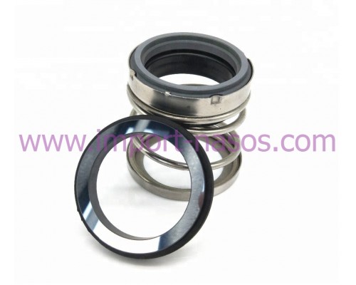 Mechanical seal IN0120.560A.BVPGG
