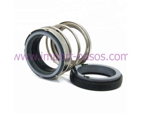 Mechanical seal IN0090.560A.BVPGG